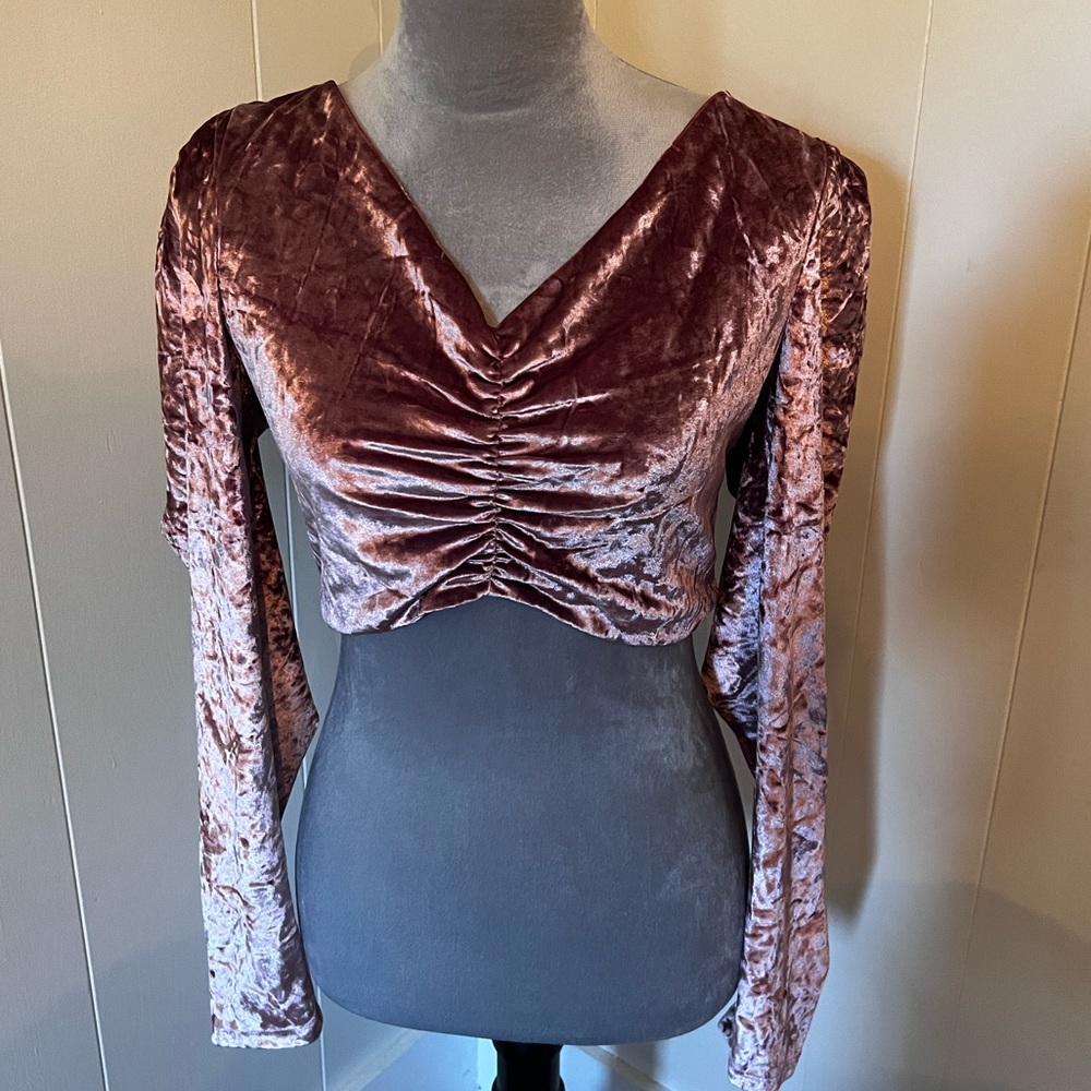 NWT WAYF Rose Velvet Long Sleeve Crop Top, Size Medium